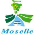 Logo_EntenteMoselle_Thumb